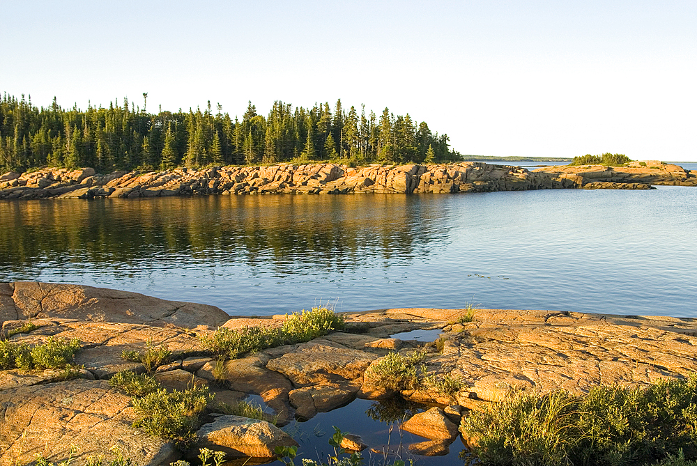 Saint-Lawrence River bank, Cote-Nord region, Quebec province, Canada, North America