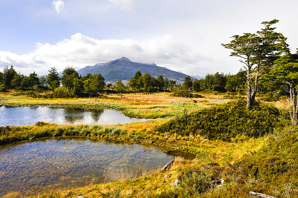 Ainsworth Bay, Alberto de Agostini National Park, Tierra del Fuego, Patagonia, Chile, South America