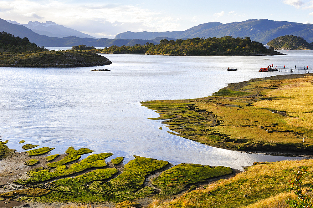 Wulaia Bay, Navarino island, Tierra del Fuego, Patagonia, Chile, South America