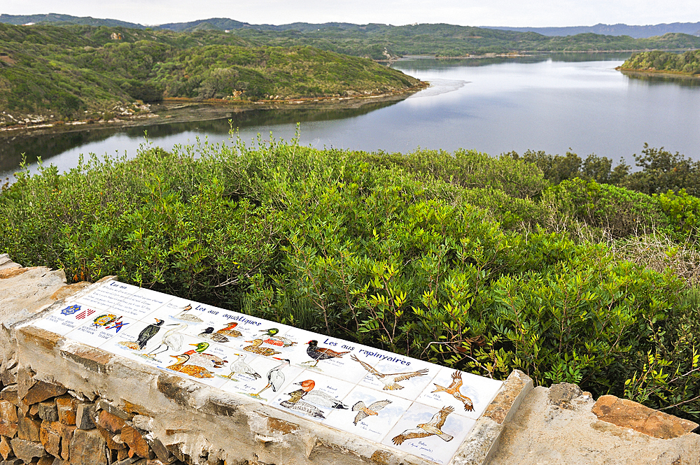 Information board about birds in the lagoon of s'Albufera des Grau Natural Park, Menorca, Balearic Islands, Spain, Mediterranean, Europe