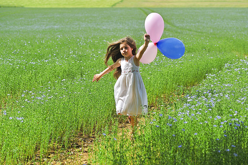 Little girl dressed in white playing with balloons in a flax field in flower, Centre-Val de Loire region, France, Europe