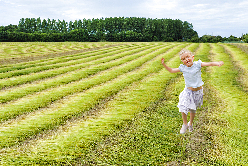 Little girl in a cut flax field around Etretat, Cote d'Albatre, Pays de Caux, Seine-Maritime department, Upper Normandy region, France, Europe