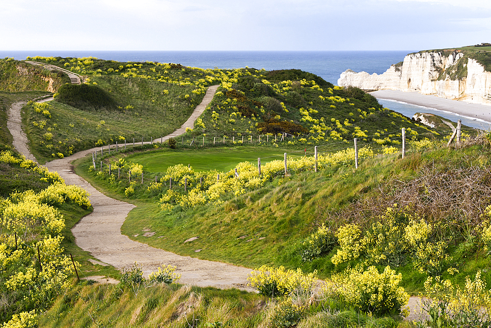 Path on the top of the cliffs at Etretat, Seine-Maritime department, Normandy region, France, Europe