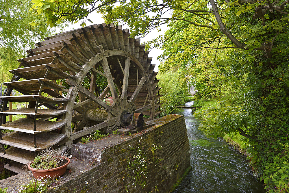 Moulin Anquetil by the Veules River, the smallest river in France, 1149 m, Veules-les-Roses, Seine-Maritime department, Normandy region, France