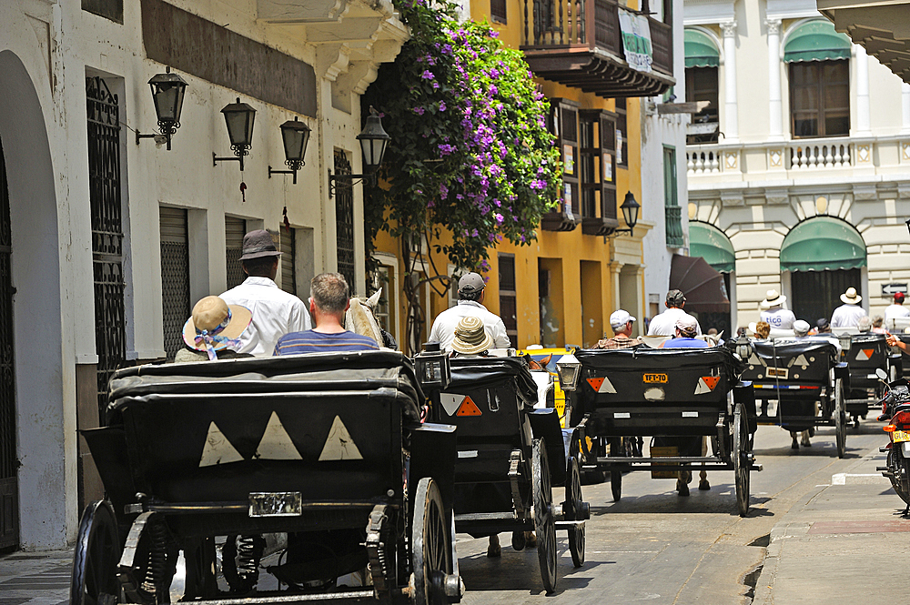 Horse-drawn carriages in the downtown colonial walled city, Cartagena, Colombia, South America