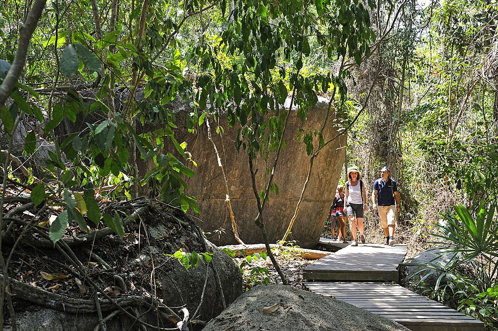 Walking in Tayrona National Natural Park, Department of Magdalena, Caribbean Region, Colombia, South America