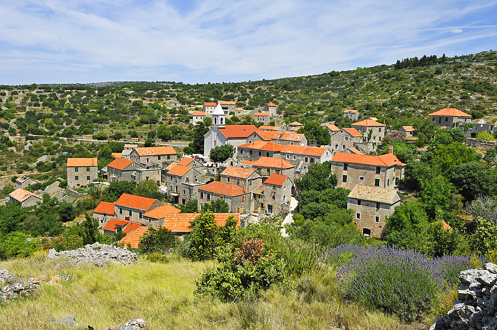 Village of Velo Grablje, Hvar island, Croatia, Southeast Europe