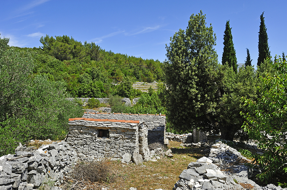 Dry stone house in the area around Zrnovo, Korcula island, Croatia, Southeast Europe