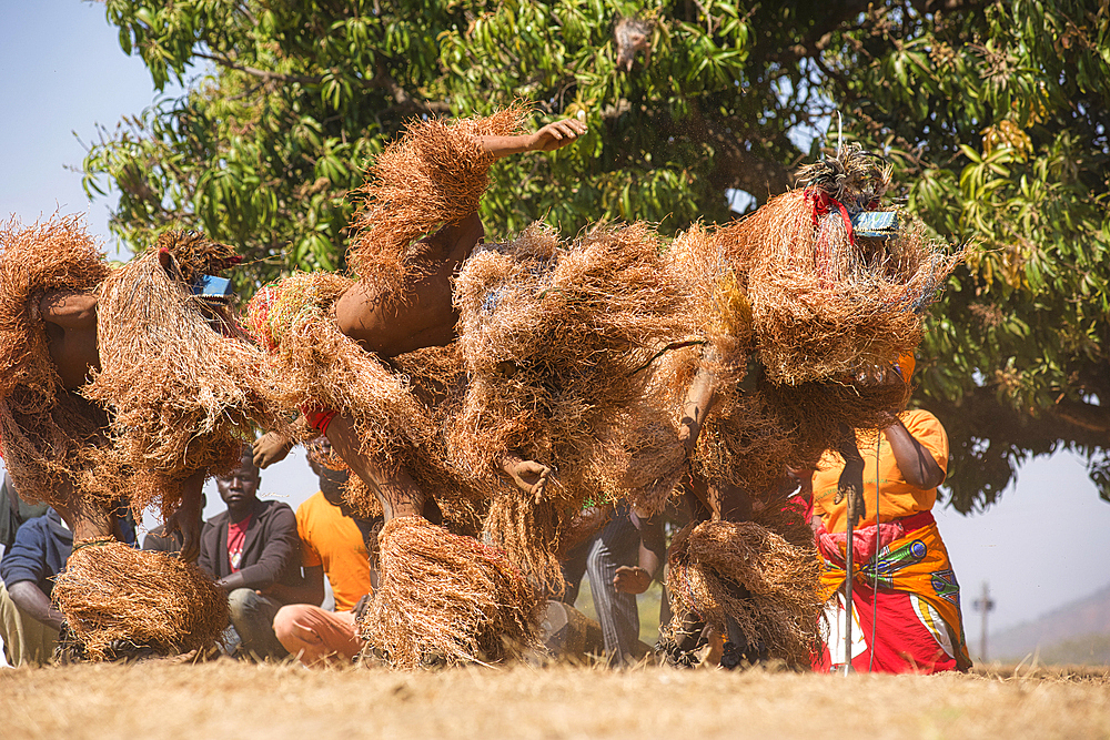 Masked dancers, The Kulamba Traditional Ceremony of the Chewa people from Zambia, Mozambique and Malawi, held annually on the last Saturday in August to pay homage to their Chief Kalonga Gaia Uni, held near Katete, Eastern Province, Zambia, Africa