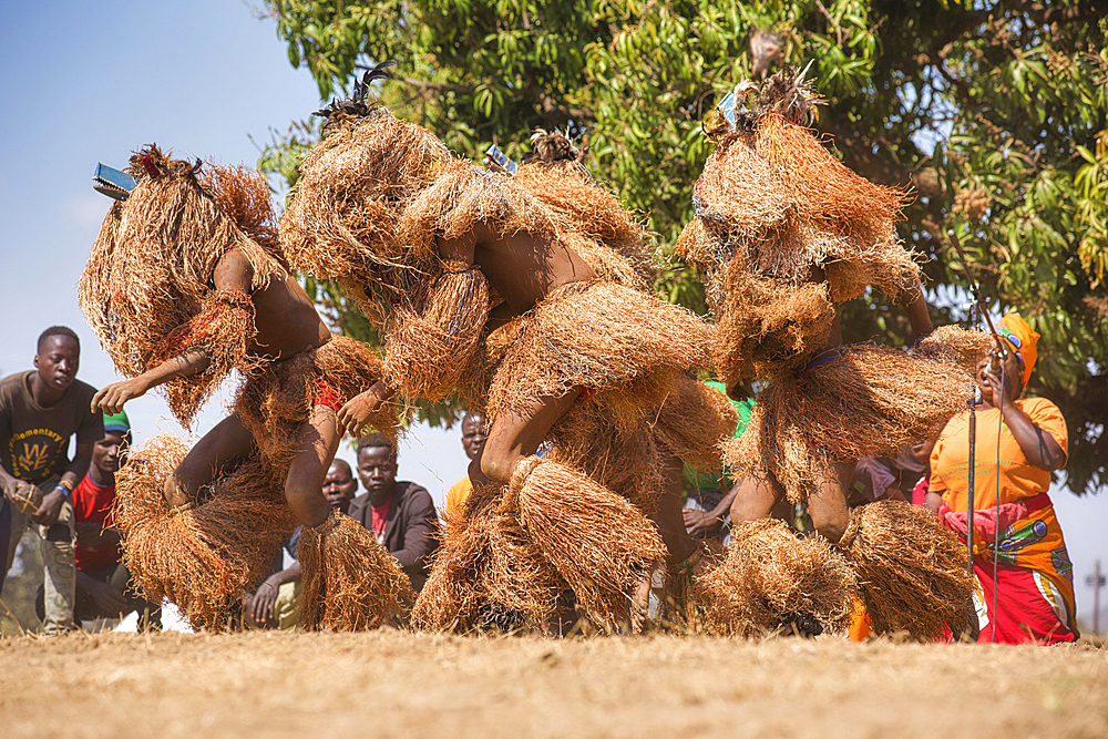 Masked dancers, The Kulamba Traditional Ceremony of the Chewa people from Zambia, Mozambique and Malawi, held annually on the last Saturday in August to pay homage to their Chief Kalonga Gaia Uni, held near Katete, Eastern Province, Zambia, Africa