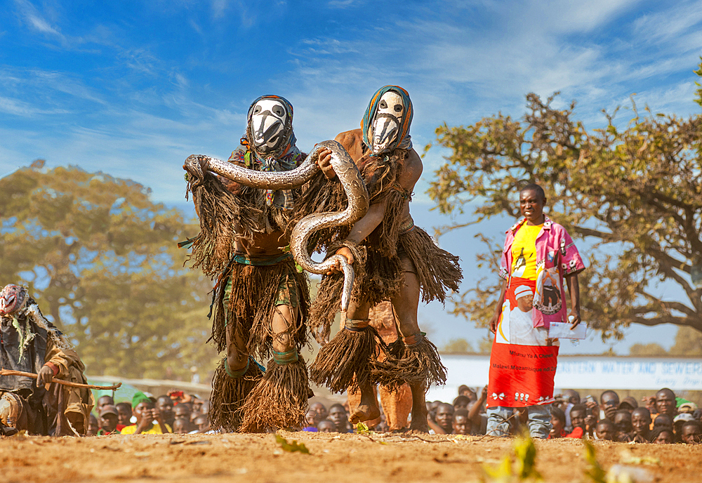 Masked dancers with snake, The Kulamba Traditional Ceremony of the Chewa people from Zambia, Mozambique and Malawi, held annually on the last Saturday in August to pay homage to their Chief Kalonga Gaia Uni, held near Katete, Eastern Province, Zambia, Africa