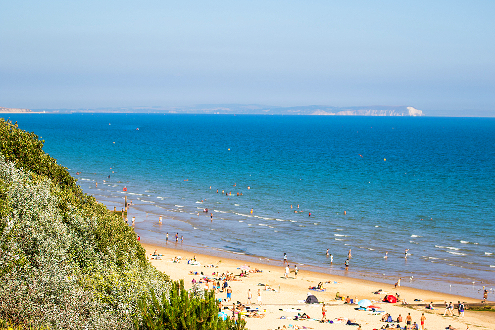 Sunny beach day with people enjoying the seaside, clear blue water, and green foliage in the foreground in Bournemouth, Dorset, England, United Kingdom, Europe