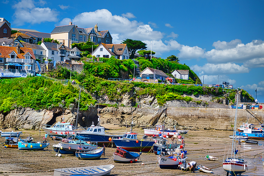 A picturesque coastal scene featuring a harbor filled with various boats at low tide. The background showcases a lush green hill with houses and a clear blue sky dotted with fluffy white clouds.