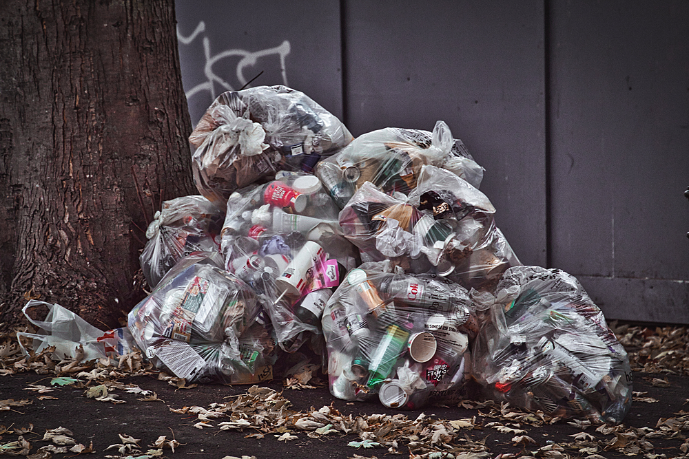 A pile of full trash bags sits against a tree and a gray wall. The bags are filled with various items including plastic containers, cardboard, and paper.