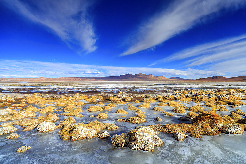 Panoramic view of the Salar de Tara in Chile.