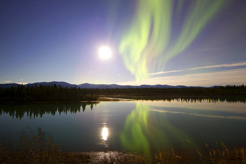 Aurora borealis and Full Moon over the Yukon River, Whitehorse, Yukon, Canada.