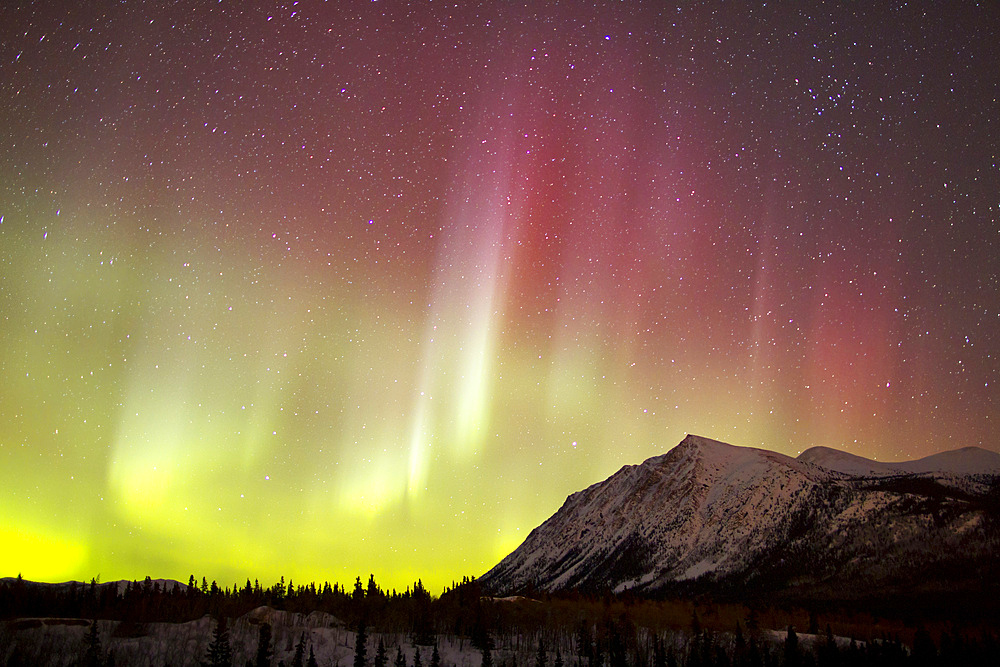 Red aurora borealis over Carcross Desert, Carcross, Yukon, Canada.