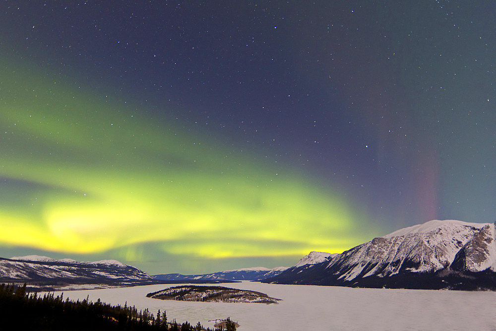 Aurora borealis over Bove Island, Windy Arm, Carcross, Yukon, Canada.