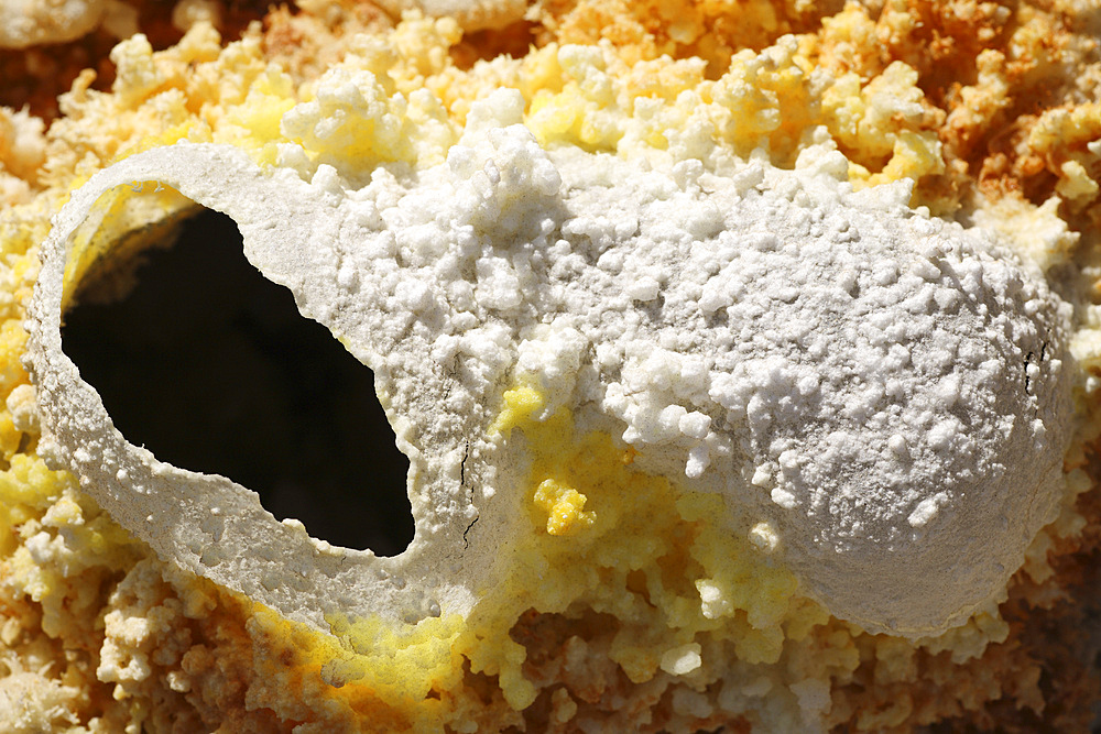 February 11, 2008 - Dallol geothermal area, egg-shaped fumarole deposits formed in salt deposits of brine hot springs, Danakil Depression, Ethiopia.