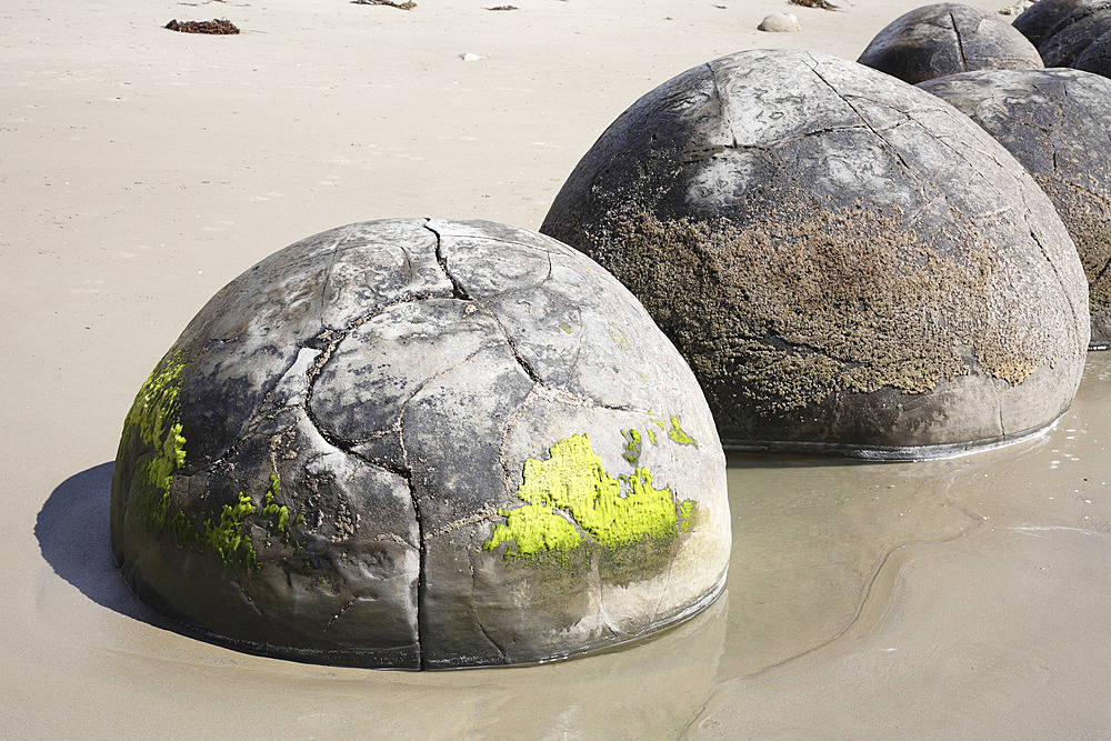 November 13, 2007 - Moeraki Boulders, spherical septarian concretions created by cementation of Paleocene mudstone of the Moeraki formation, Koekohe Beach, New Zealand.
