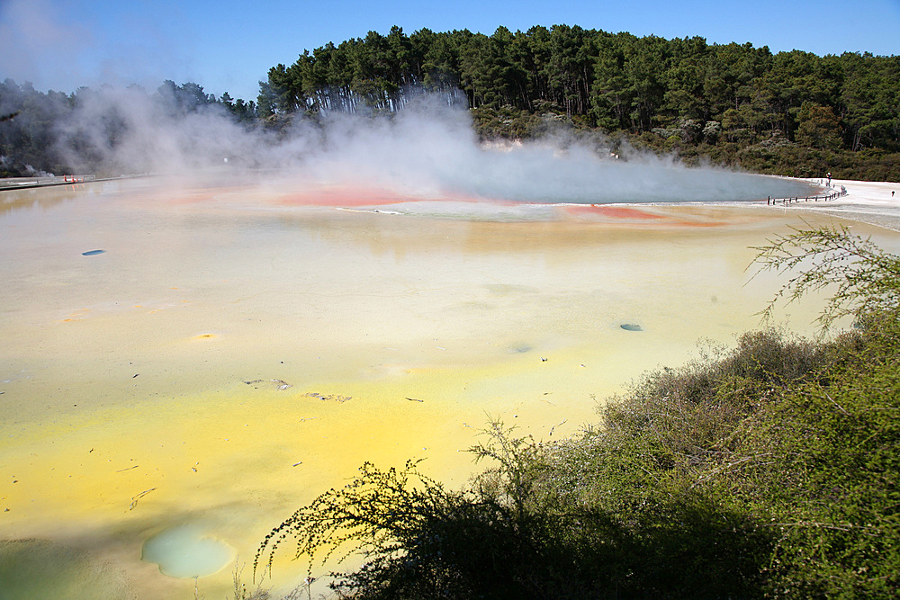 November 2007 - Champagne Pool and Artist's Palette, Wai-O-Tapu Geothermal area, Taupo Volcanic Zone, New Zealand.