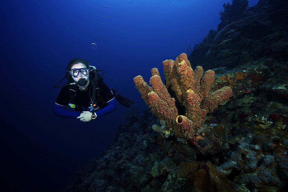 Scuba diver swims by some large sponges off the coast of Bonaire, Caribbean Netherlands.