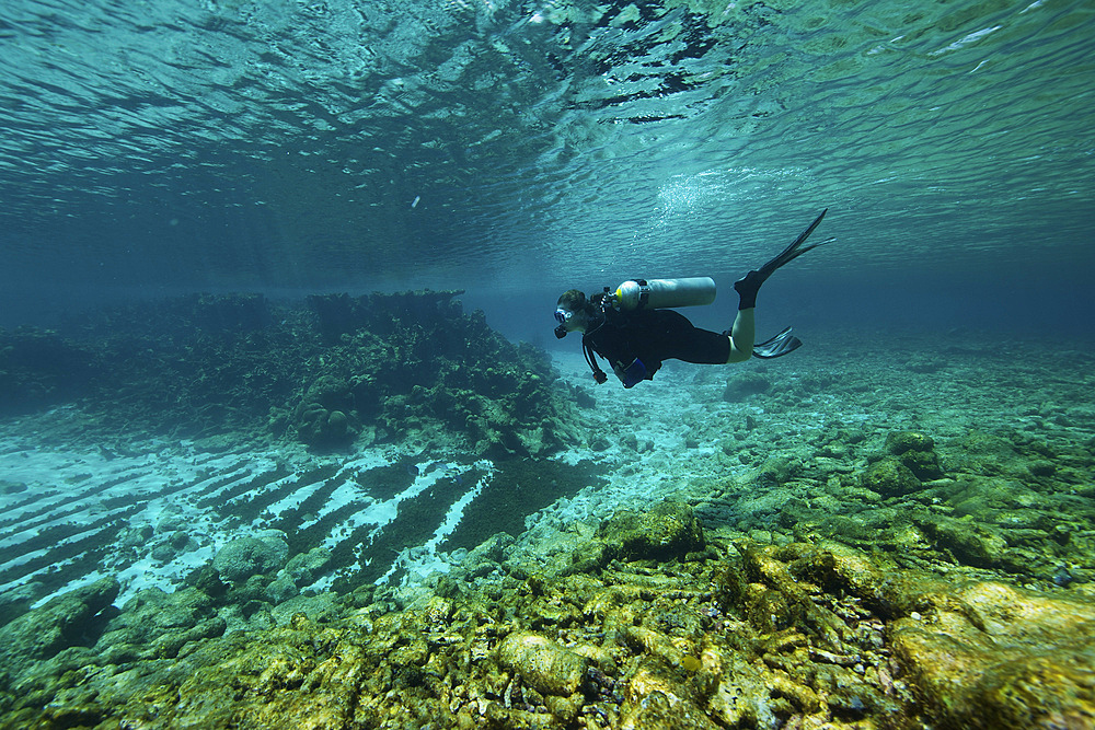 Diver swims through the shallow reef towards shore, Bonaire, Caribbean Netherlands.
