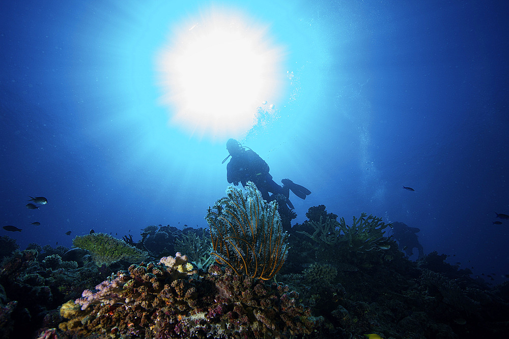 Sunburst above a diver amongst the reefs in Fiji.