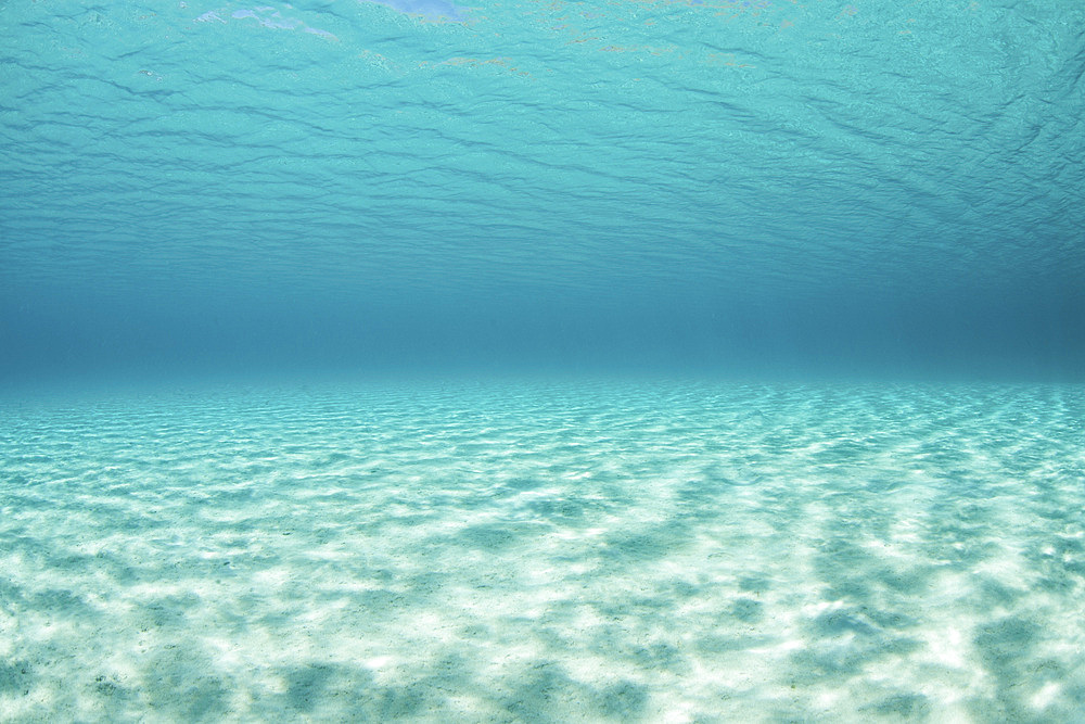 Bright sunlight ripples across a shallow sand seafloor in the tropical Pacific Ocean.