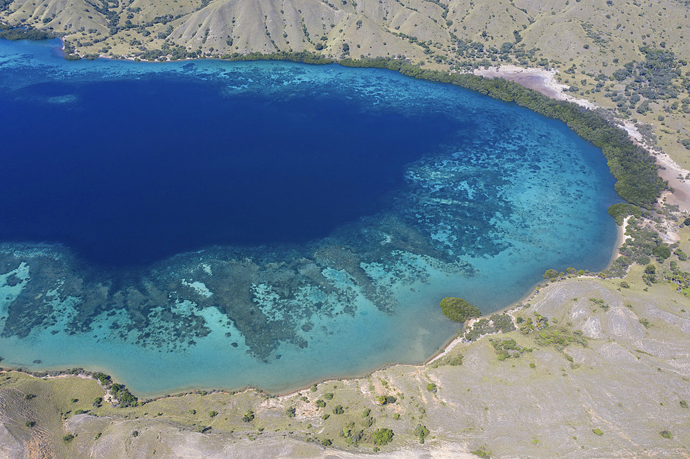 Aerial view of a healthy fringing reef along the edge of Komodo Island in Komodo National Park, Indonesia. This tropical area in the Lesser Sunda Islands is known for its marine biodiversity as well as its infamous Komodo dragons.