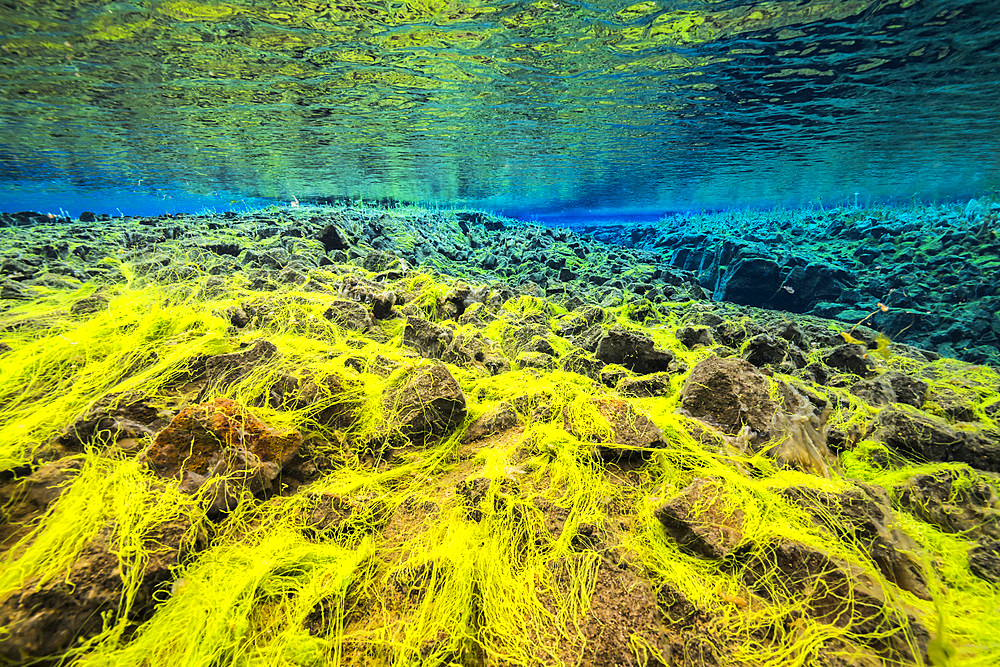 Diving in Silfra in Iceland.