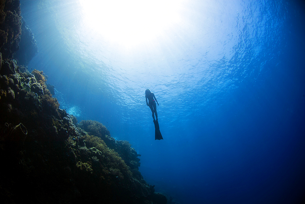 Free diver rising from the deep in the Banda Sea, Indonesia.