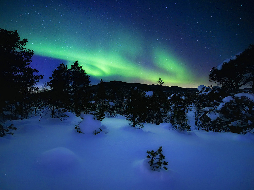 Aurora Borealis over Forramarka Woods in Tennevik, Troms County, Norway. Auroras are the result of the emissions of photons in the Earth's upper atmosphere.