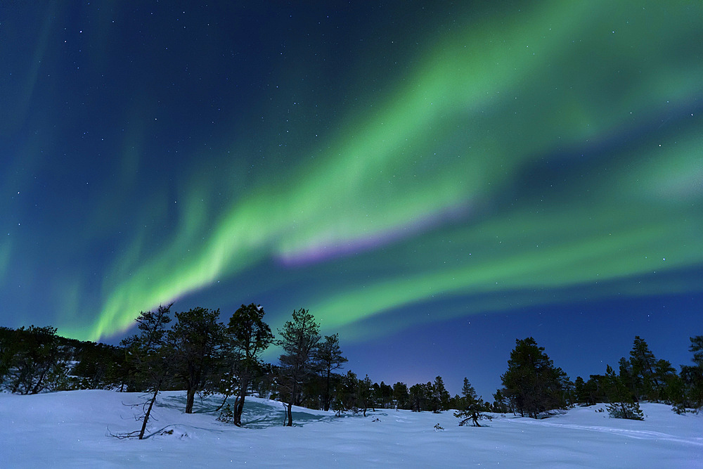 Aurora Borealis, Forramarka, Troms, Norway.