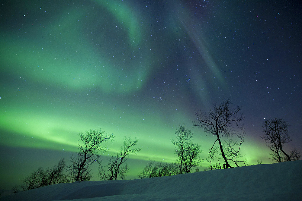 Northern Lights in the arctic wilderness, Nordland, Norway.