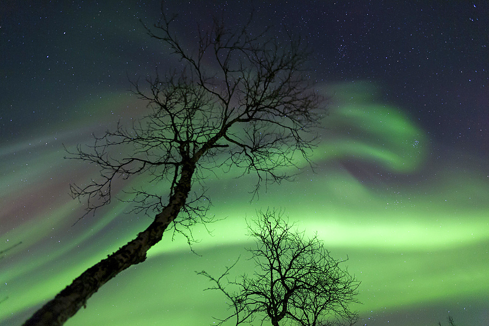 Northern Lights in the arctic wilderness, Nordland, Norway.