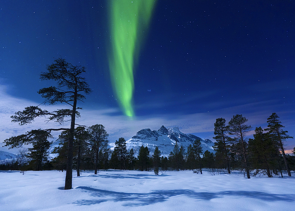 Moonlight and aurora borealis, Forramarka, Troms, Norway.