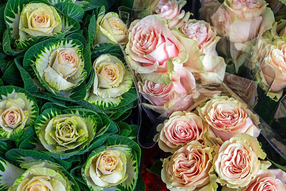 Pink roses and ornamental cabbages