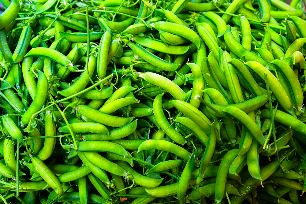 Garden peas in their pods