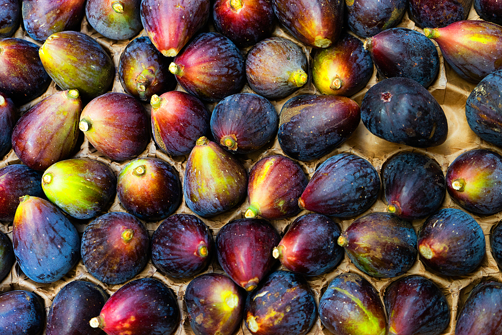 Figs, France