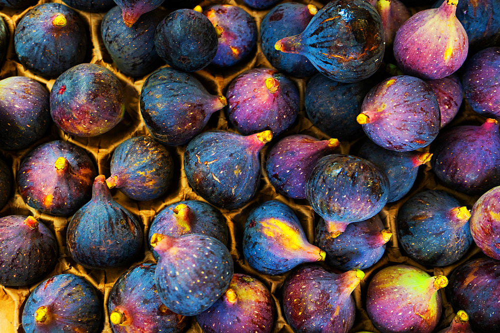 Purple figs, Paris, France