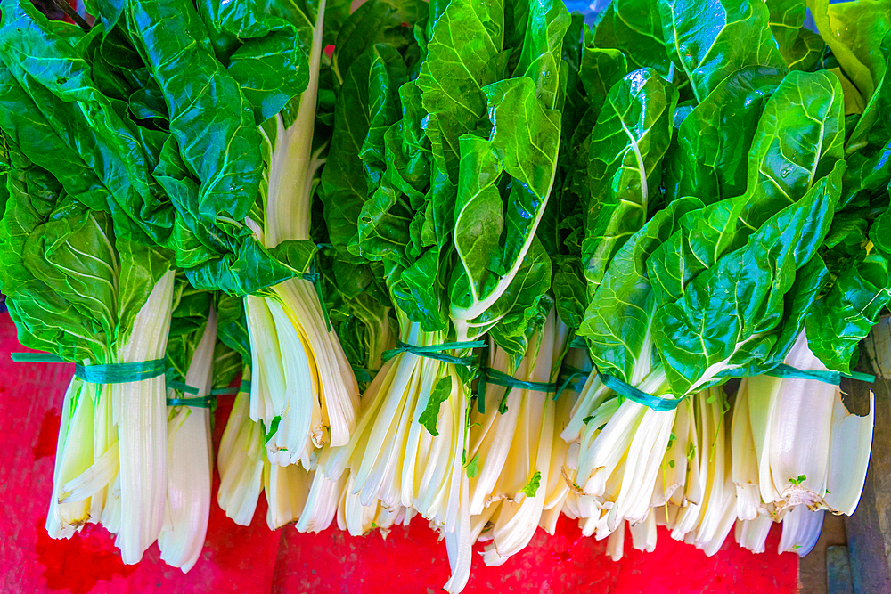 Chard