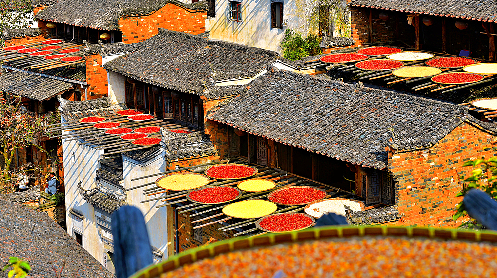 Chillies, corn and other produce being sun dried in autumn, Huangling, Wuyuan County, Shangrao City, Jiangxi Province, China. Huangling is an ancient village that dates back to the Ming Dynasty more than 500 years ago and is known for its natural beauty.