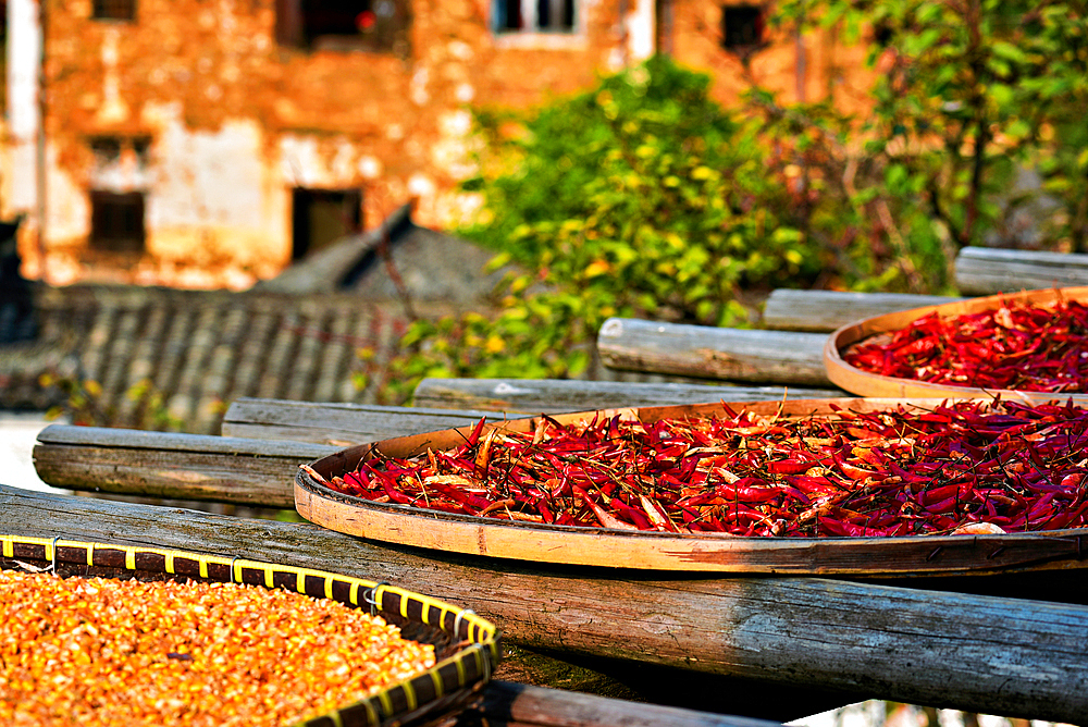 Chillies, corn and other produce being sun dried in autumn, Huangling, Wuyuan County, Shangrao City, Jiangxi Province, China. Huangling is an ancient village that dates back to the Ming Dynasty more than 500 years ago and is known for its natural beauty.