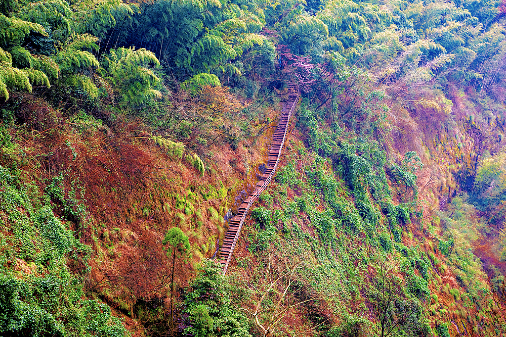 Mount Jianglang, Jiangshan City, Zhejiang Province, China.