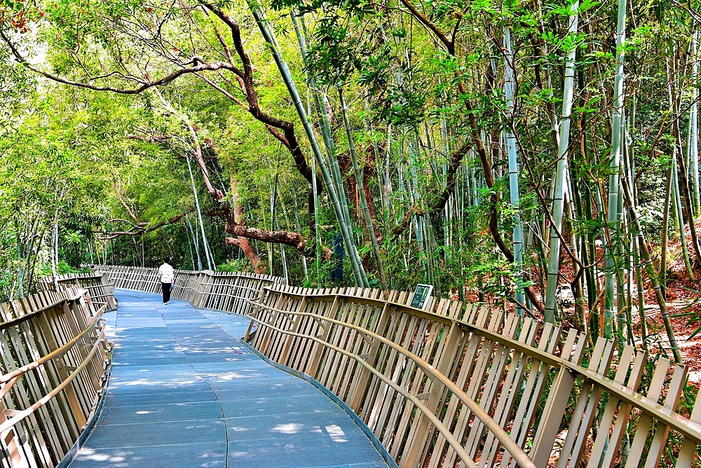 FuDao (Fortune Walkway), Fuzhou, Fujian Province, China. FuDao is a picturesque 19km elevated walkway straddling several hills and parks in Fuzhou.