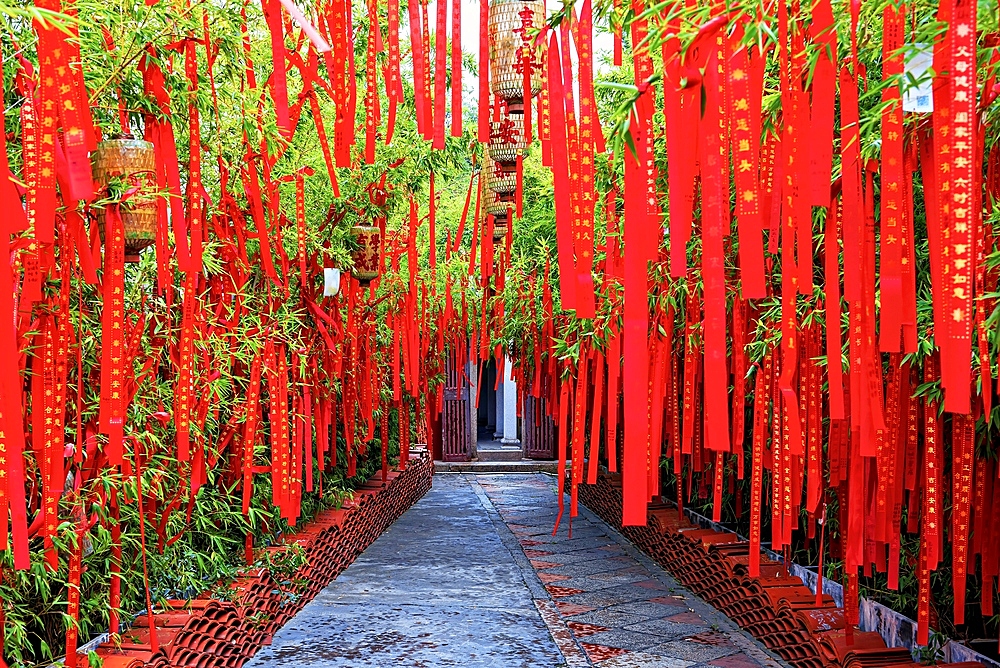 Bamboo garden filled with well wishing ribbons in Kaiyuan Temple, Chaozhou, Guangdong Province, China