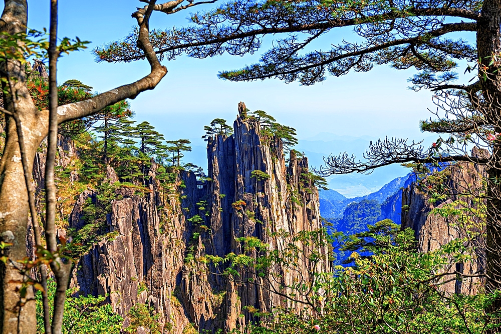 Huangshan (Mt Huang), UNESCO World Heritage and UNESCO Global Geopark, Anhui Province, China.