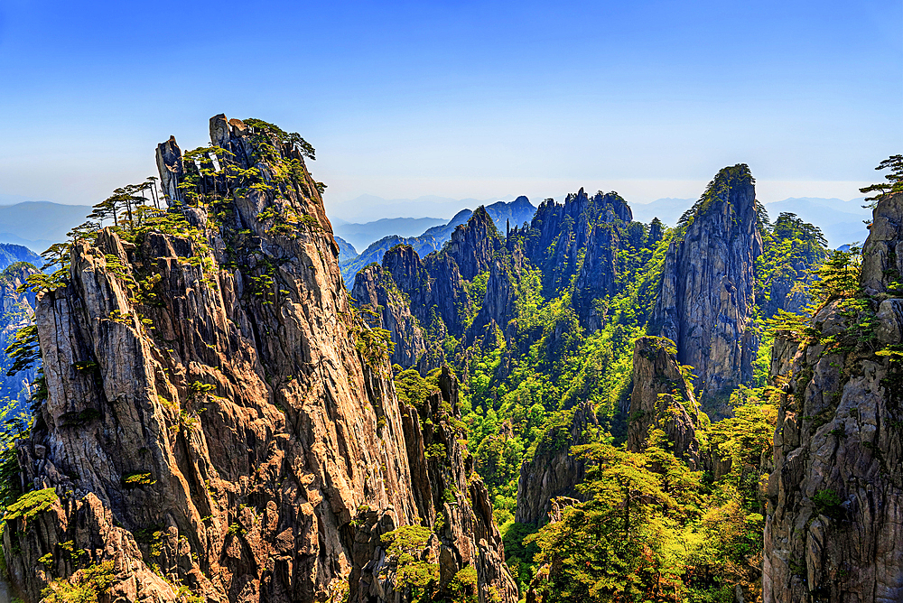 Huangshan (Mt Huang), UNESCO World Heritage and UNESCO Global Geopark, Anhui Province, China.