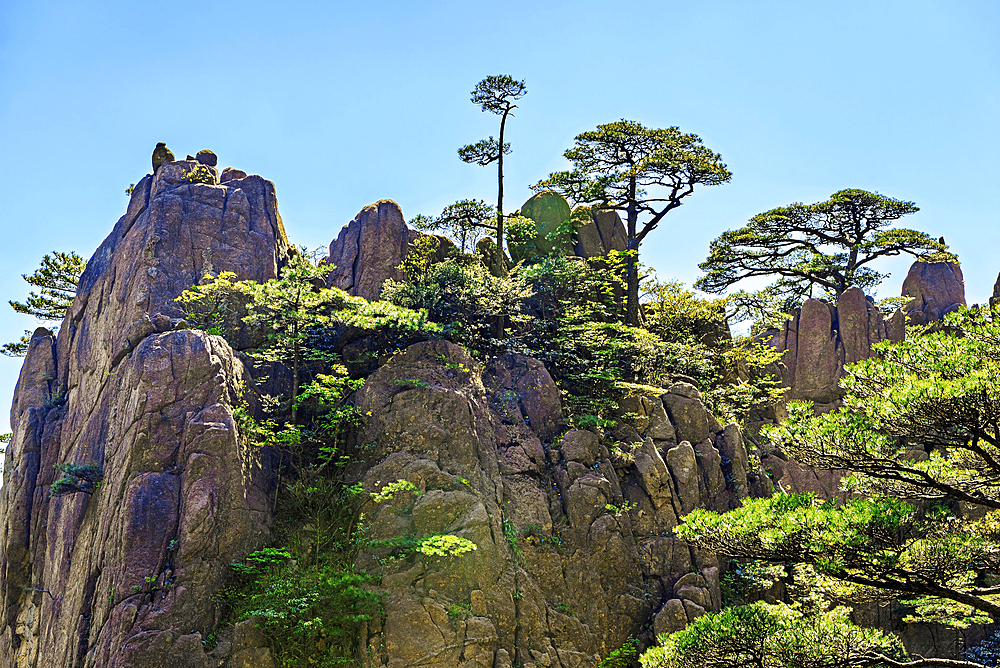 Huangshan (Mt Huang), UNESCO World Heritage and UNESCO Global Geopark, Anhui Province, China.